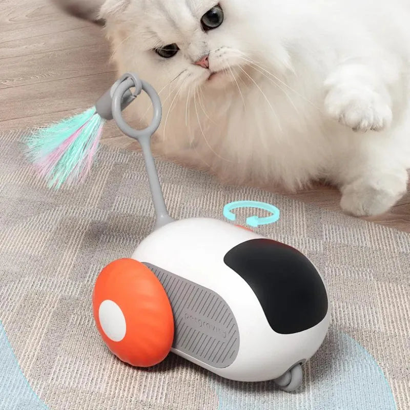 🐱 Pet Toys